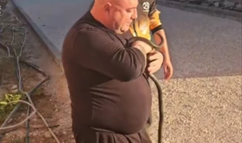 LJUDI SE PRESTRAVILI: Hvatač zmija iz česme izvukao ovog gmizavca od 2 metra