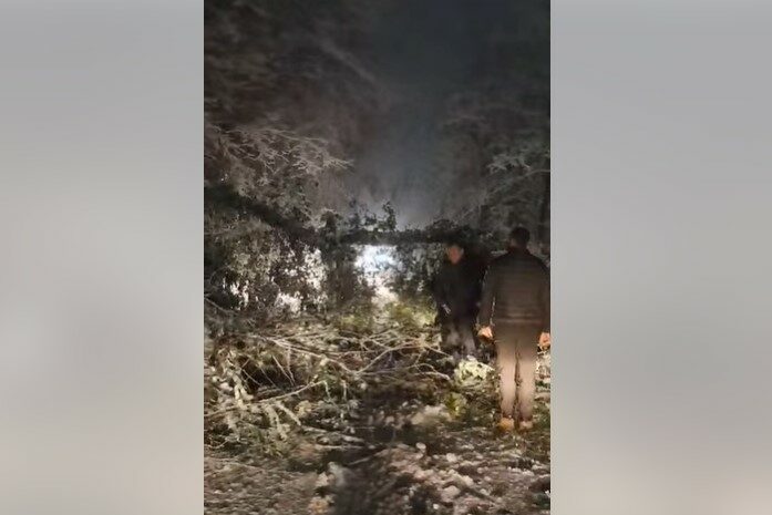HAOS NA MAGISTRALI: Snijeg i oboreno drveće blokirali put na području Crne Rijeke (VIDEO)