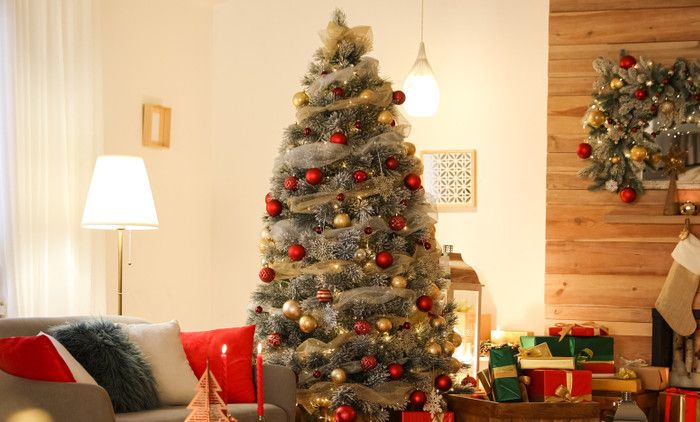 PRIZOVITE USPJEH: Unesite ove stvari u kuću prije Nove godine i spremite se za bogatstvo