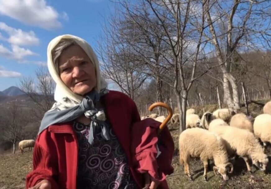 ПУТ ПОСУТ ТРЊЕМ И ПАТЊОМ: Животна прича баке Секе из Бијељине тјера сузе на очи