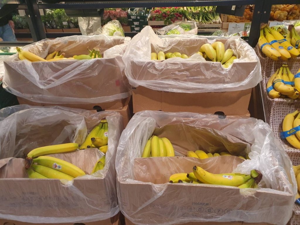 U BANANAMA PRONAĐENA OPASNA SUPSTANCA: Pošiljka iz Ekvadora za BiH biće uništena