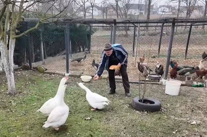 PRAVA LJUBAV NE POZNAJE GRANICE: Fadil prodao farmu kako bi brinuo o ženi u kolicima (VIDEO)