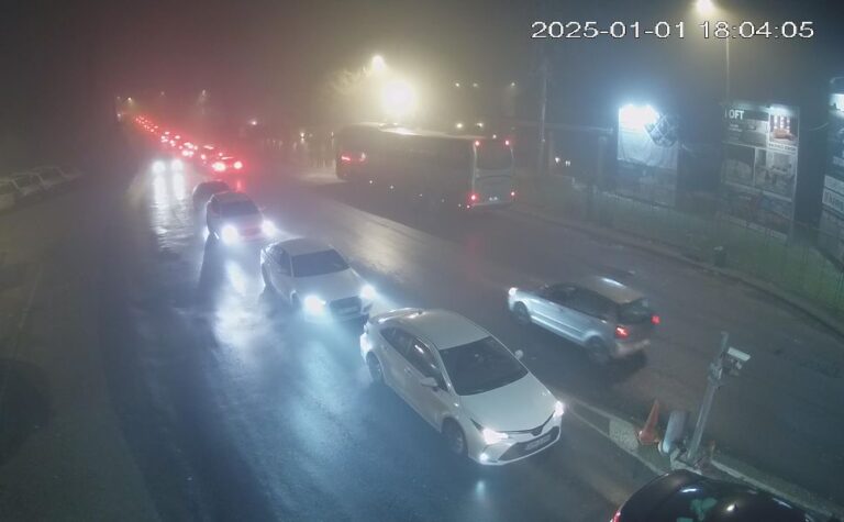 GUŽVE NA GRANICAMA: Dijaspora se vraća u inostranstvo