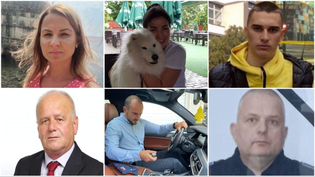 SVAKIH 10 DANA UBISTVO: Prošle godine usmrćeno više od 40 osova, šta se ovo dešava u BiH?