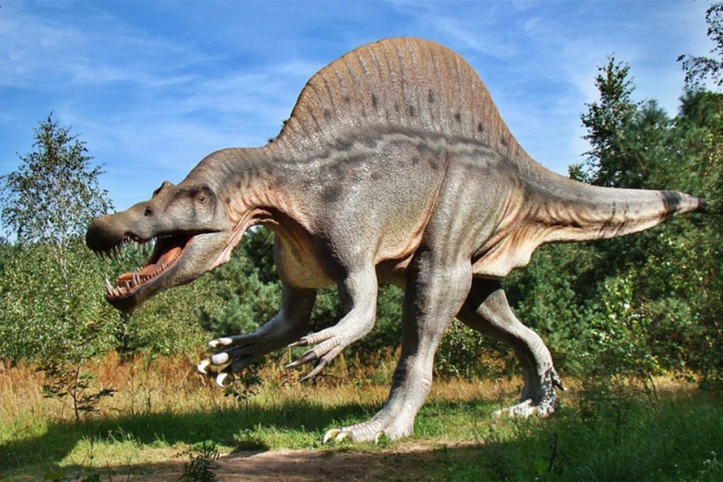 U GRADU NA VRBASU USKORO DINO PARK: Banjaluka naručuje dinosauruse u prirodnoj veličini