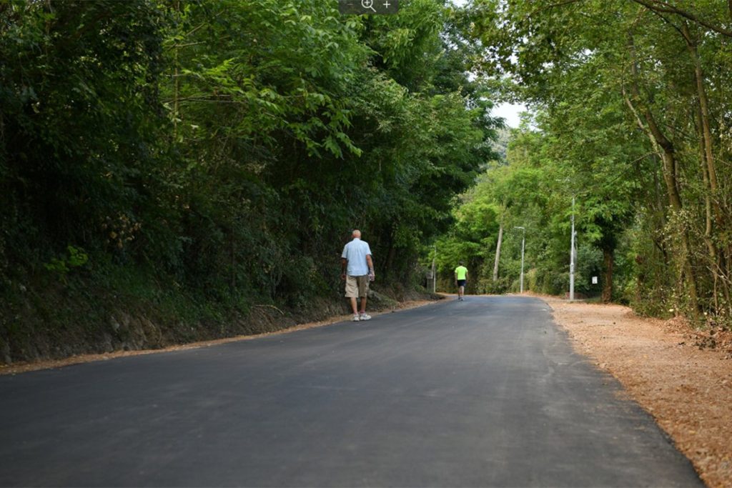 U TOKU ODBUKCIJA JEDNOG PSA U NOVOM SADU: Basara o uginuću pasa na Banj brdu