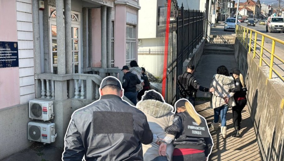 ОБРАТИЛА СЕ СА ЛИСИЦАМА НА РУКАМА: Бивша градоначелница Ниша једну реченицу је рекла новинарима