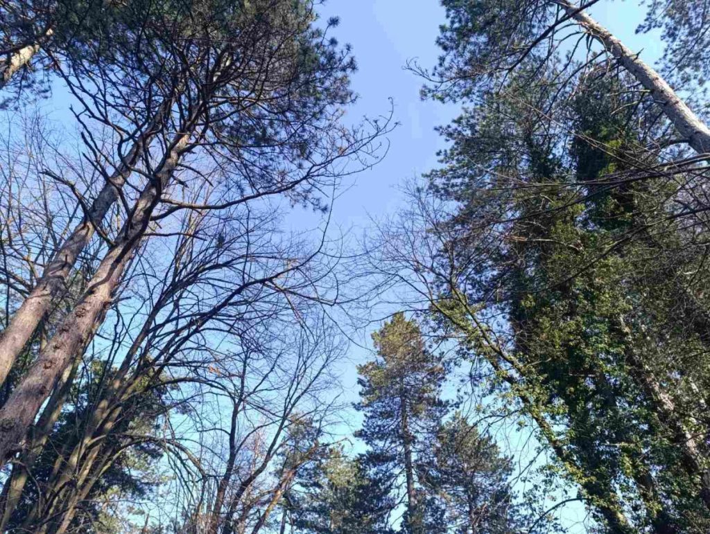 ОБЛАЧНО И ВЈЕТРОВИТО: Ево колике нас температуре чекају у суботу