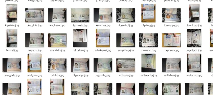 VALIDNI PASOŠI IZ BiH NA CRNOM TRŽIŠTU: Mnogi i ne znaju da se prodaju njihova putna dokumenta