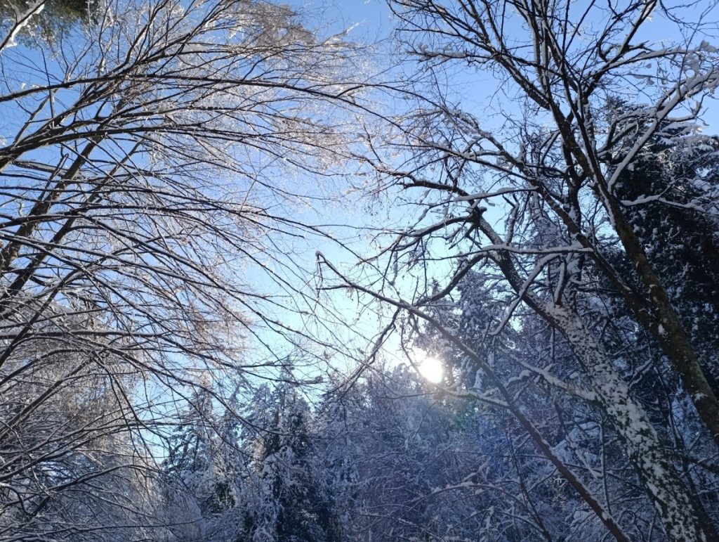 JUTRO SA MRAZOM, PA SUNCE: Pogledajte kakvo nas vrijeme čeka danas