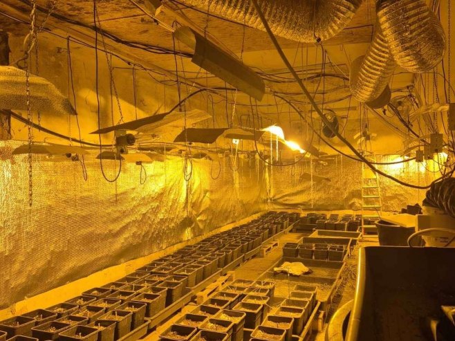 UHAPŠEN DVOJAC IZ SOKOCA: Pronađena improvizovana laboratorija marihuane i skoro 6 kila droge (FOTO)