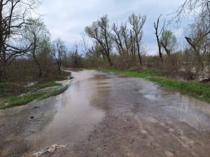 ВАНРЕДНО ХИДРОЛОШКО СТАЊЕ НА ПОДРУЧЈУ РИЈЕКЕ САВЕ: Најављене обилне падавине у овом дијелу БиХ