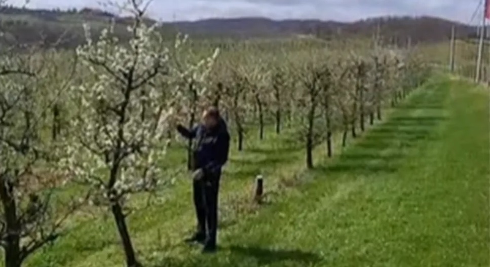 PREDSJEDNIK SRPSKE OBIŠAO VOĆNJAK: „Biće ovo dobra godina“ (VIDEO)