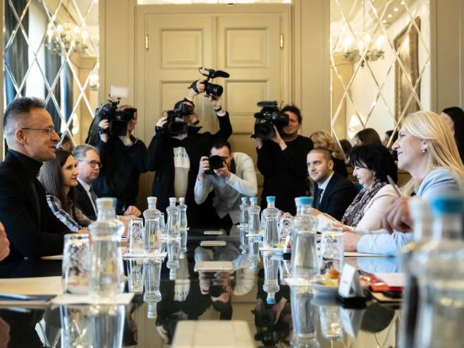 „ИЗ ПОЛИТИЧКОГ САРАЈЕВА СТАЛНО ПОЗИВАЈУ НА ЛИНЧ“Цвијановић у Будимпешти са Сијартом: Мађарска никада неће пристати на санкције демократски изабраним функционерима Српске