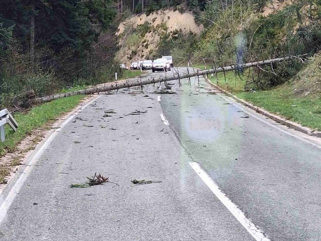 VJETAR NAPRAVIO HAVARIJU: Srušilo se nekoliko stabala na putu Banjaluka-Čađavica (FOTO)