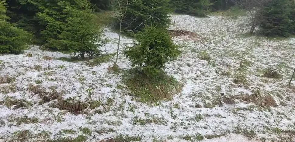 ZABIJELILO U OVOM DIJELU BiH: Livade prekrila veća količina leda (FOTO)