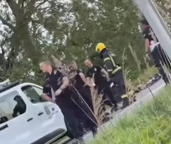 ЈЕДНО ЛИЦЕ ПОГИНУЛО, ТРОЈЕ ПОВРИЈЕЂЕНО: Стравична несрећа код Панчева (ВИДЕО)