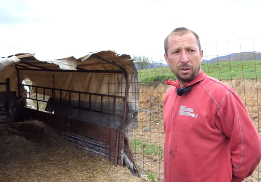 MEVJED UBIO ŠEST OVACA: Mještani strahuju od novih napada (VIDEO)