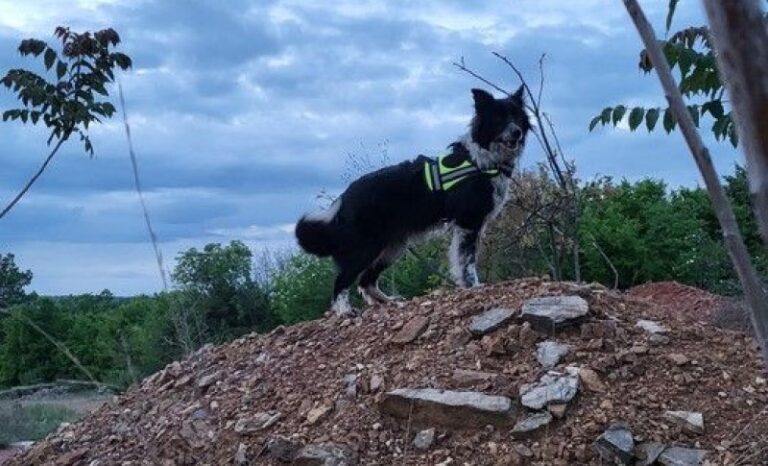 NEVJEROVATNA PRIČA: Pas pronašao nestalu ženu iz Amerike na Križevcu