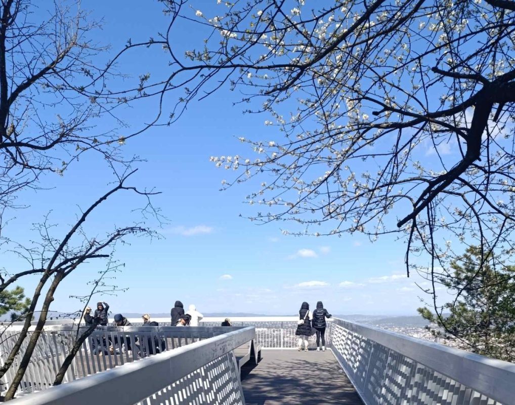 BANJALUKA PRIVLAČNA STRANCIMA: Sve više turista cirkuliše u omiljenom gradu Srpske (FOTO)