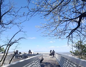 БАЊАЛУКА ПРИВЛАЧНА СТРАНЦИМА: Све више туриста циркулише у омиљеном граду Српске (ФОТО)