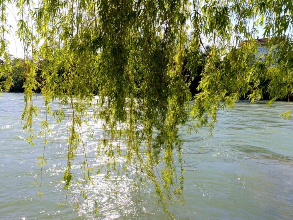 SUTRA PAKLENA VRUĆINA: Meteorolozi otkrivaju kakve nas temperature čekaju