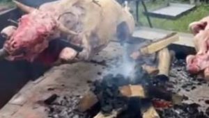 BLOKADERI FOTELJAŠI NE ŽALE ŽRTVE: Dok Vučić brani interese Srbije, oni okreću vola u Loznici (VIDEO)