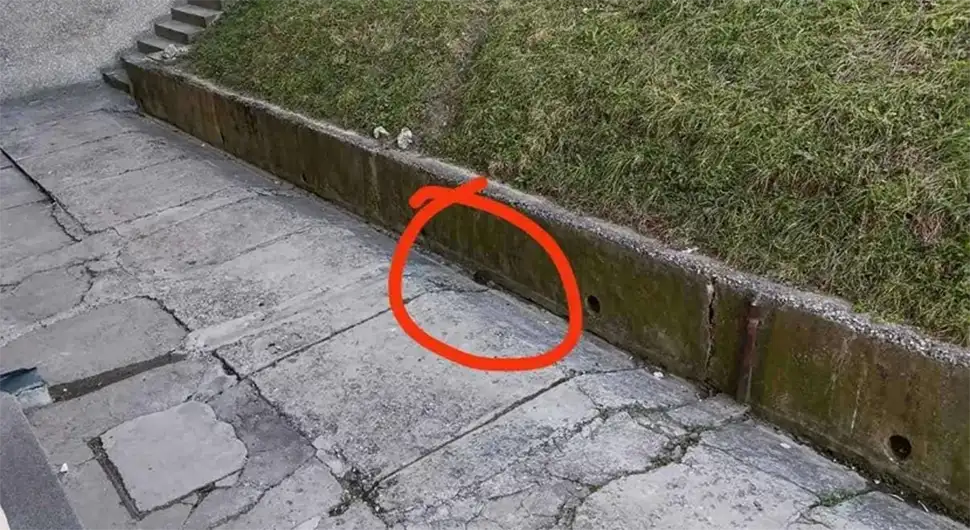 ZABRINJAVAJUĆA SITUACIJA U SARAJEVU: Pacovi na ulicama izgledaju k’o mačke, vrane bježe od njih (VIDEO)