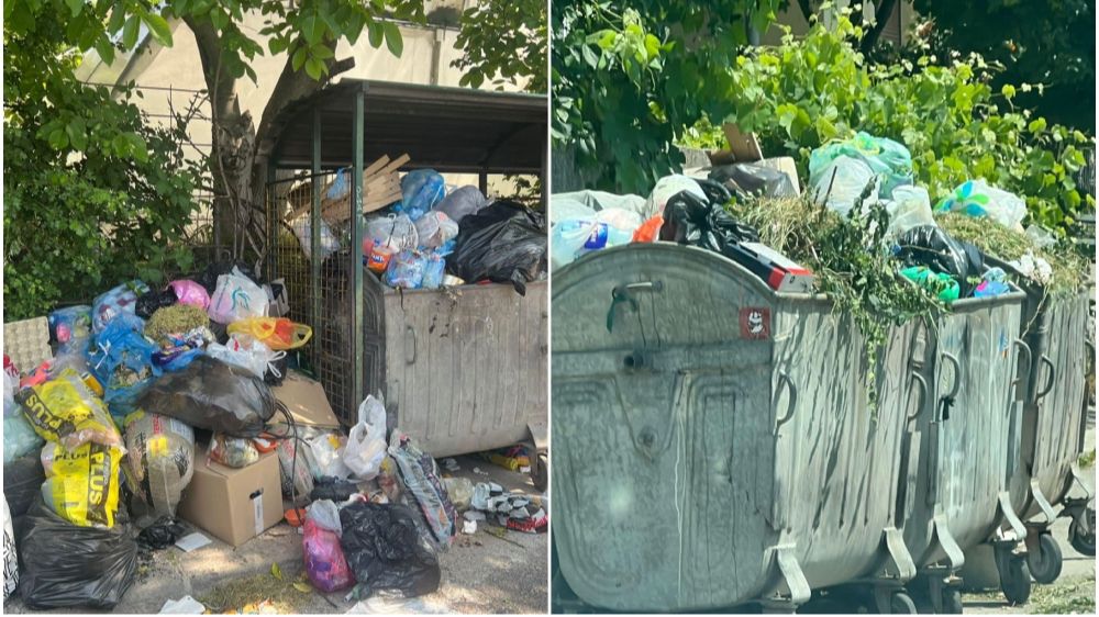 КОНТЕЈНЕРИ ПРЕНАТРПАНИ, ПАЦОВИ НА СВЕ СТРАНЕ: Сарајево на корак од санитарне катастрофе