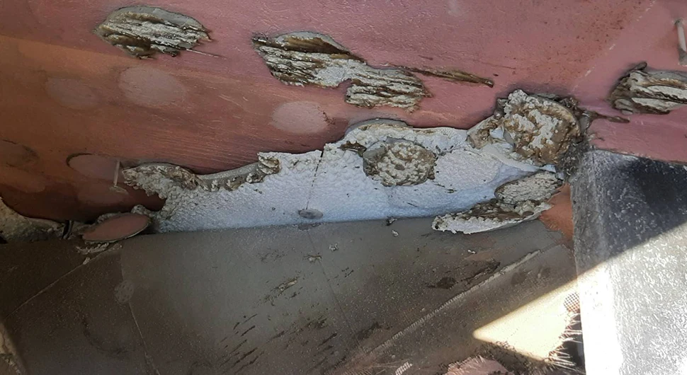 NEOBIČNA INTERVENCIJA VATROGASACA: Pčele u stanu u Banjaluci izazvale pometnju (FOTO)