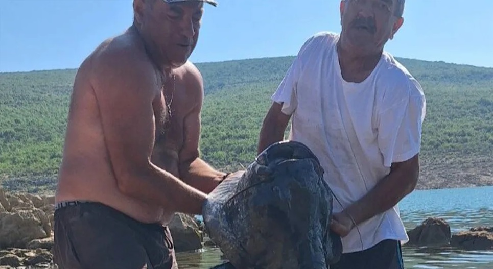 РИБОЛОВЦИ УПЕЦАЛИ КАПИТАЛЦА: Грдосија тешка 55 килограма извучена из Билећког језера