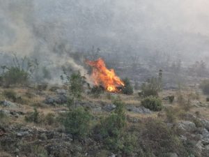 POŽARI KAKVI SE NE PAMTE:  Izuzetno teška noć u Hercegovini, dejstvovaće i helikopter MUP-a Srpske