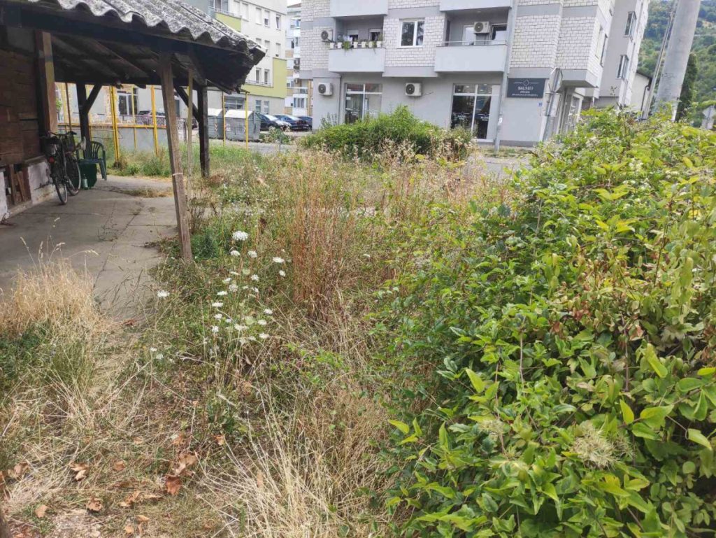 НАСЕЉЕ „ОБИЛИЋЕВО“ ЛИЧИ НА ПРАШУМУ: Свуда непокошена трава и смеће, Бањалучани згрожени (ФОТО)