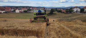 PODRŠKA SELU I POLJOPRIVREDI: Vlada Srpske usvojila plan za podsticanje i razvoj domaće proizvodnje