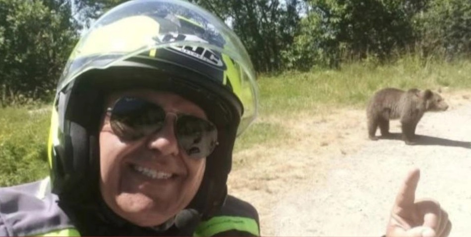 BAJKER OSTAO MRTAV NA MJESTU: Napao ga medvjed kada je pokušao da ga nahrani