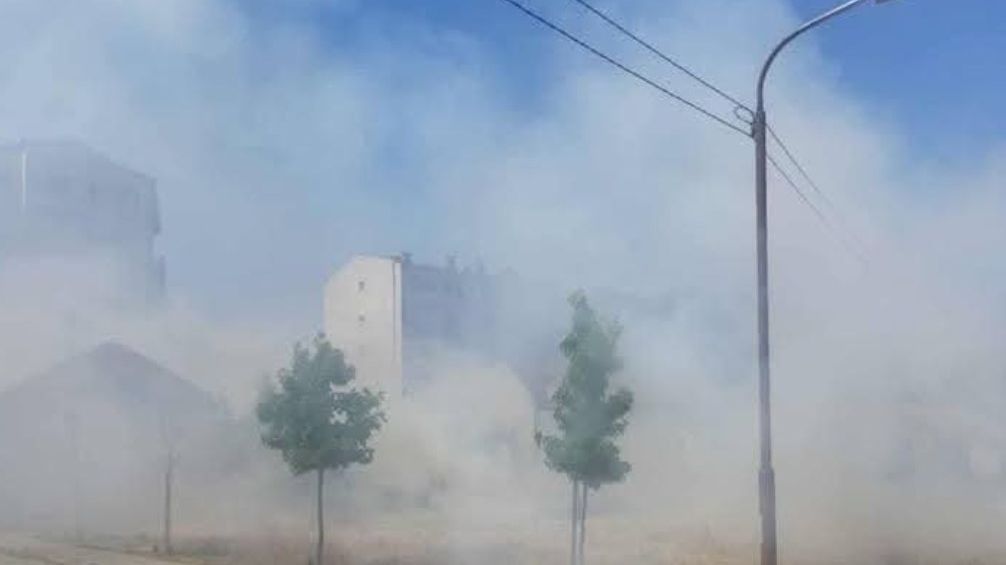 PROSIDBA U BRČKOM POŠLA PO ZLU: Mladić zapalio nisko rastinje u obliku srca, pa nastao haos (VIDEO)