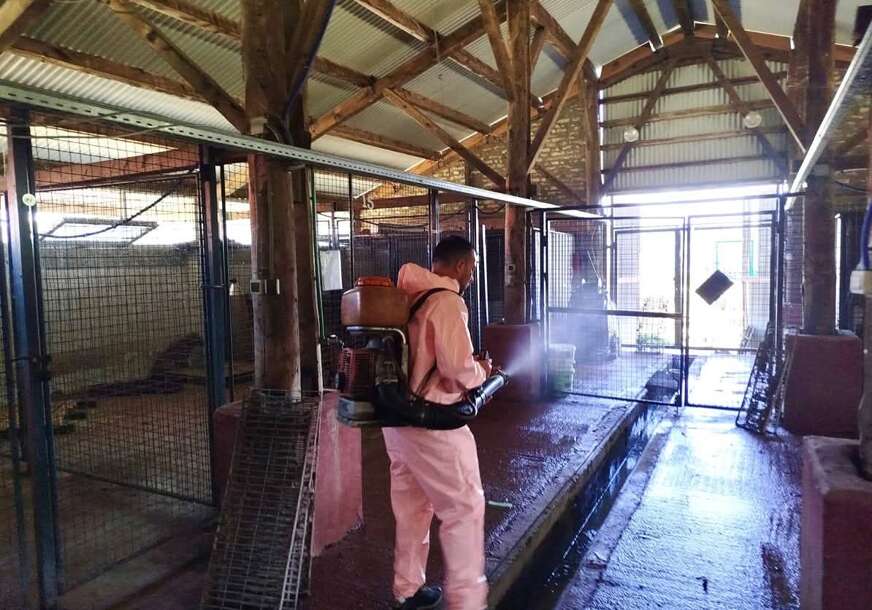 „IMAMO KAPACITET, VOLJU I ŽELJU“ Stanivuković se oglasio o azilu na Manjači, volonteri mu jednu stvar zamjeraju (FOTO)