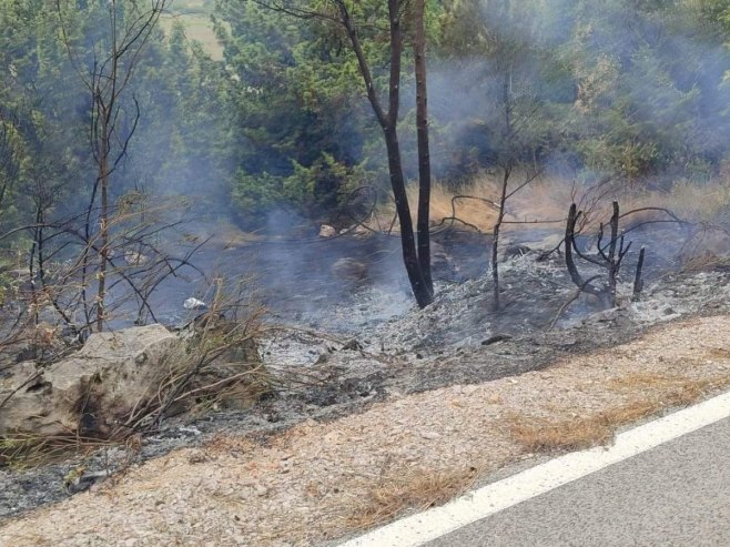 ВАТРОГАСЦИ НА ТЕРЕНУ: Пожар захватио шири рејон Корита код Билеће