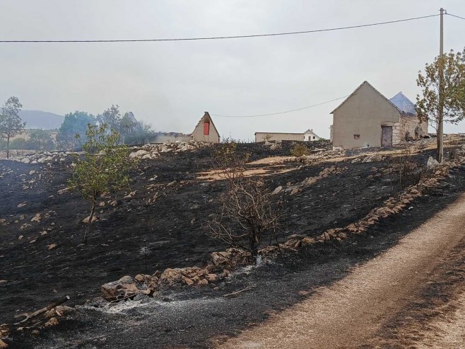 BJESNE POŽARI NA VIŠE STRANA: Kiša ugasila vatru u Hercegovini