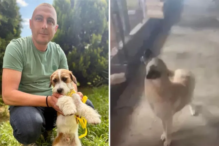 HEROJ GODINE: Doktor Viktor i njegov tim spasili više od 30 pasa iz požara