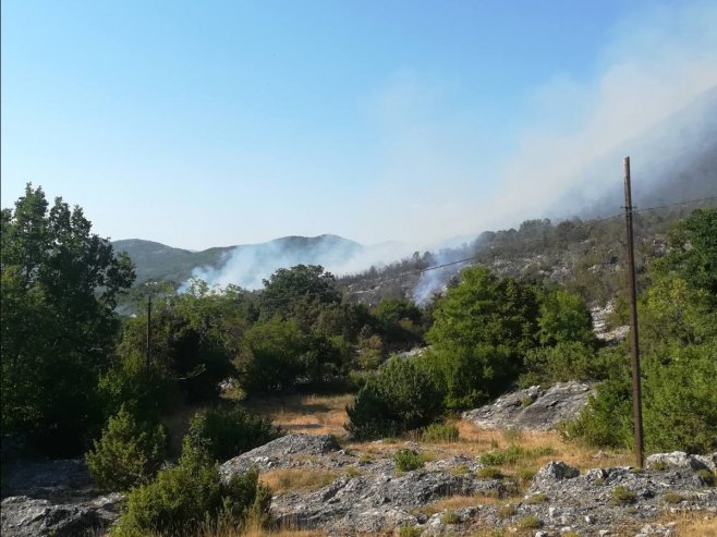 ZA SADA NEMA OPASNOSTI PO KUĆE: Požarna linija u blizini Trebinja dugačka kilometar i po (VIDEO)