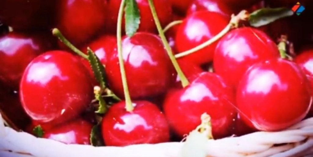 VIŠNJE POSTALE LUKSUZ: Evo kako im se kreće cijena na pijacama