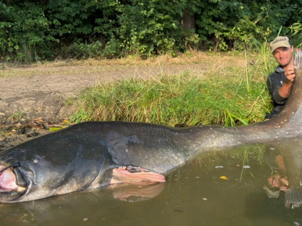 ULOVIO GRDOSIJU: Ulovio soma od 2,68 M – a sada je nadmašio sebe!