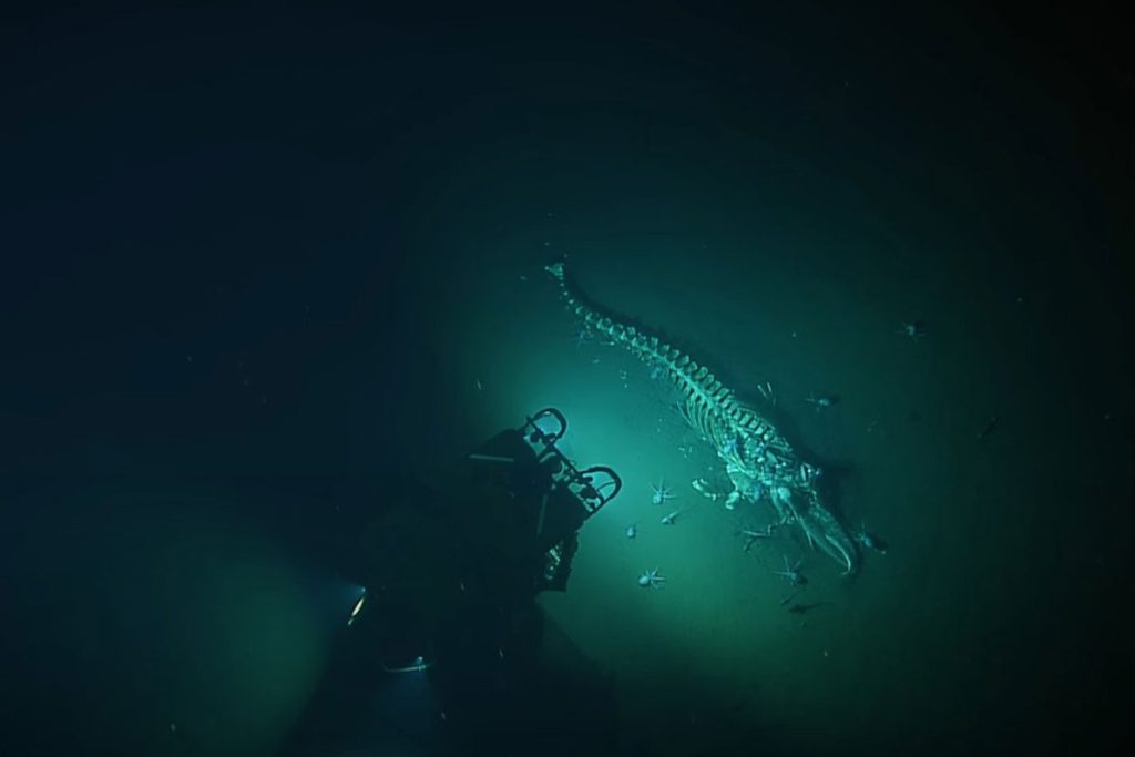 ŠOKANTNO OTKRIĆE NAUČNIKA: Snimljene dubine podvodnog vulkana kod Kalifornije