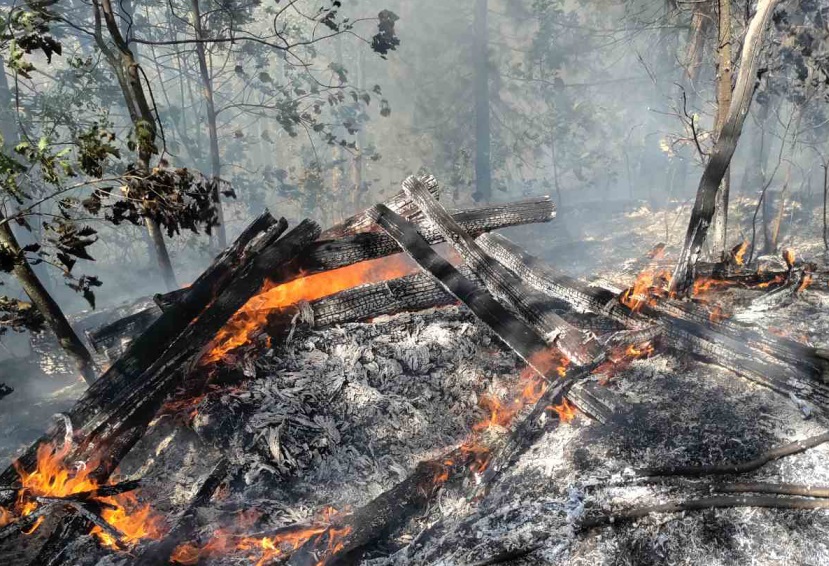 STRAŠNI PRIZORI SA LICA MJESTA: Požar s područja Maglaja se širi prema Doboju i zahvaća čak i minirane površine (FOTO)