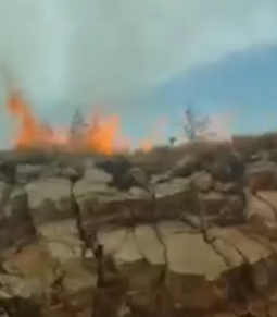 POŽAR SE PRIBLIŽIO KUĆAMA: Alarmantno stanje na podrčje Neuma (VIDEO)