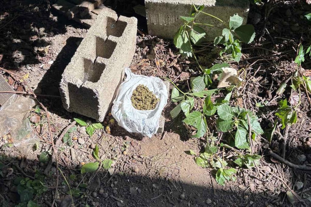 AKCIJA „SPRINTER“ U BANJALUCI I TRNU: Uhapšene dvije osobe, pronađena marihuana i kokain (FOTO)
