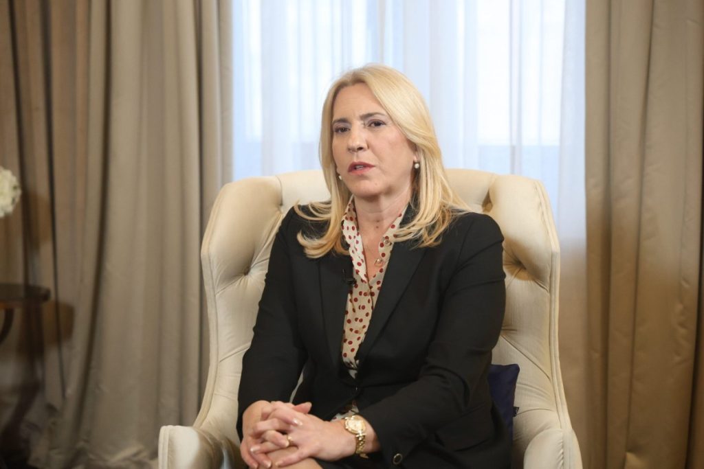 ЦВИЈЕНОВИЋ: Пуно је парадокса и апсурда у БиХ