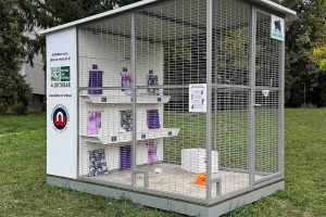 ЛУТАЛИЦЕ ИМАЈУ ЈОШ ЈЕДАН ДОМ: На Старчевици отворен трећи хотел за мачке у Бањалуци
