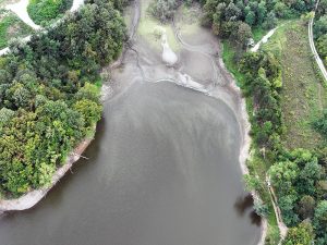 EKOLOŠKA KATASTROFA NA POMOLU: Masovno uginuće ribe na jezeru Drenova kod Prnjavora, nadležni ćute (FOTO/VIDEO)